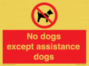 no-dogs-except-assistance-dogs~